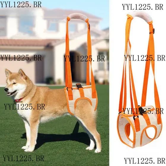 WATTLE Arreios De Apoio Para Animais De Estimação Cães Idosos Com Deficiência Cinto De Perna Reta