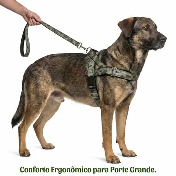 Coleira Peitoral Canadense G Reforçada com Guia 50cm - Verde Militar