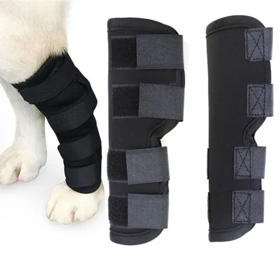 BOLONI Bandagens Para Cães , Joelheiras Anti-Lamber Animais De Estimação , Cinta De Joelho Fixa Auxiliar Suporte De Pern