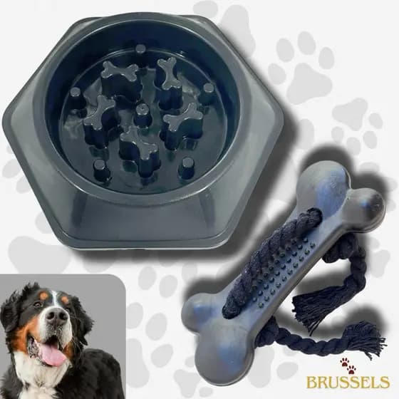Kit Comedouro Educativo Interativo Cães + Osso Higiênico Mordedor Maciço Cachorro