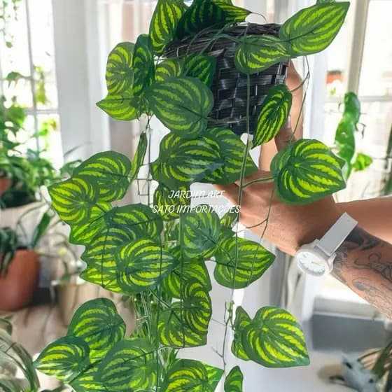 Planta Decorativa: Vasos Trançado + Pendentes Artificial 2M Folhas de Hera Verde