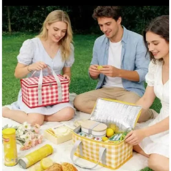 Bolsa térmica Cesto para piquenique com zíper e dobravél para alimento quente ou frio