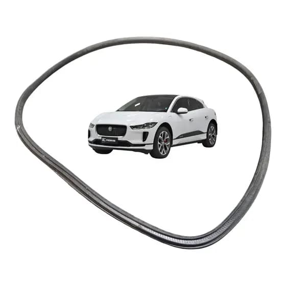 Borracha Porta Traseira Esquerda Jaguar I-pace Elétrico 2020