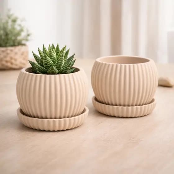 Vaso Decorativo para Suculenta com Prato Pequeno Moderno Minimalista