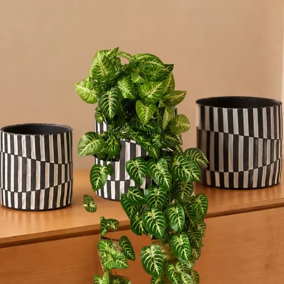 Planta Artificial Pendente Folhagem Jardim Vertical Decorativa Toque Real