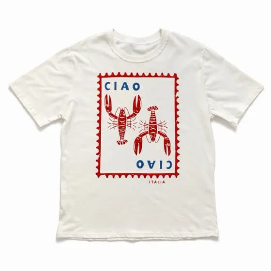 Camiseta Feminina Estampada Tendência Estampa Moderna Algodão 100% Tamanho Único