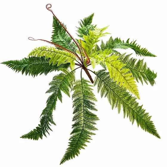 Samambaia Planta Arranjo Verde Hyper Realista 52x70cm