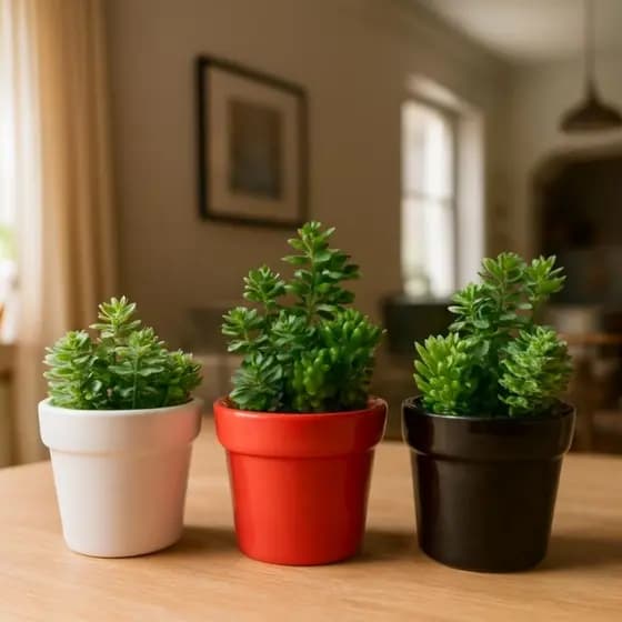 Kit 3 Vasos Decorativos em cerâmica com Planta Artificial | Branco, Vermelho e Preto