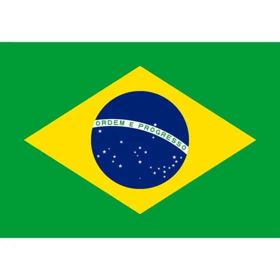 2x Adesivo Bandeira Brasil 16 x 11 cm Envio Imediato
