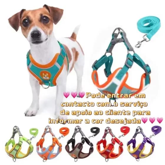 Dog and Cat Harness, Leash Set + Vest Collar for Small and Medium Pets