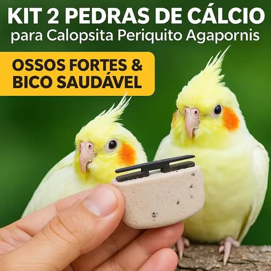 Kit 2 Pedras de Cálcio para Calopsita, Periquito e Agapornis Ossos Fortes Bico Gaiola e viveiro pet