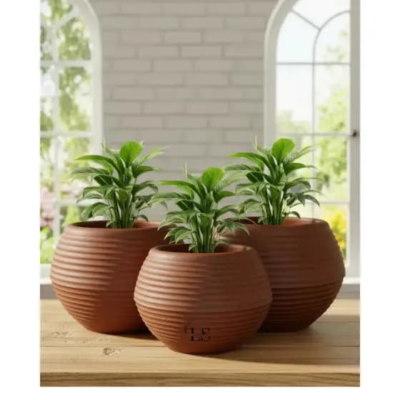 Kit 3 Vasos Decorativo Esfera Ondulada N°3 Planta Flor Orquidea Anturio Lirio Suculentas Polietileno