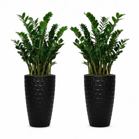 Vaso para plantas grande ,kit com 2 ,vaso polietileno forte alto e resistente,plantas jardim decorar 60×37×25
