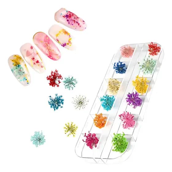 Flor Seca Nail Art 3D Para Unhas Gel Encapsuladas 12 Unidades Naturais Coloridas