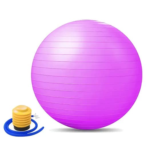 Bola Pilates 65cm Antiderrapante Yoga Treino Funcional com Bomba Ar JustGoFit