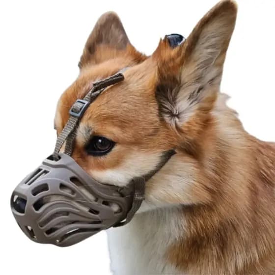 Focinheira de Silicone Macia e Ajustável Anti-Mordida Confortável Para Cães Pequeno, Médio e Grande Porte LR-0286