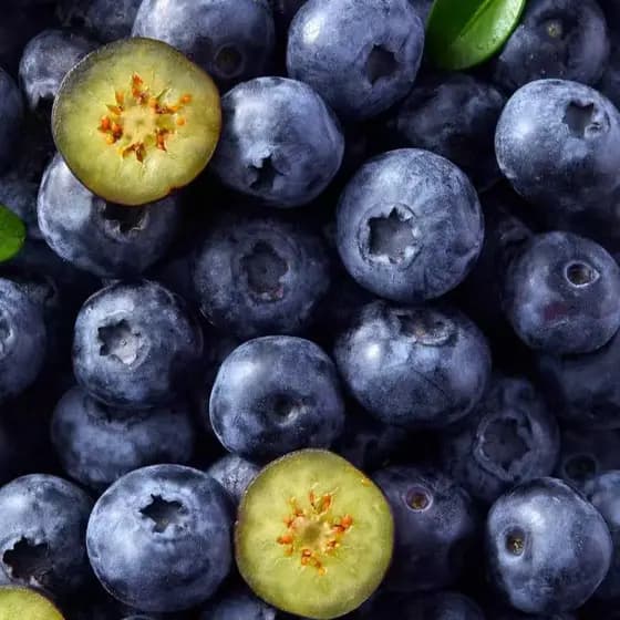 Sementes naturais Sementes De Mirtilo Tenras E Saborosas crescimento garantido