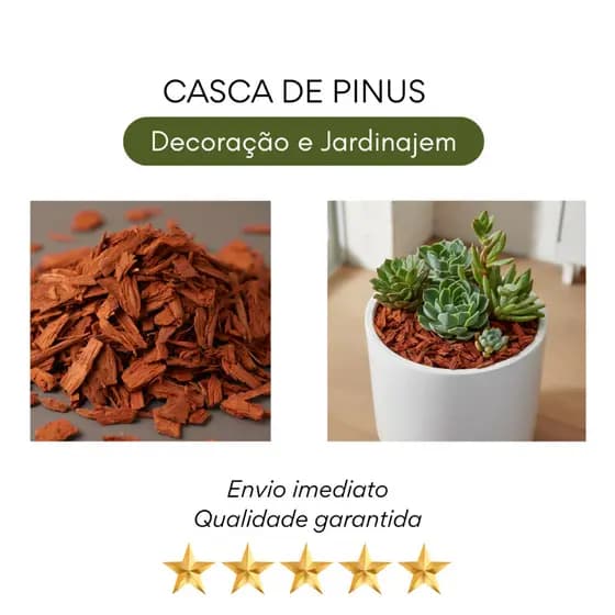 Casca de Pinus Polida Substrato para Orquídeas e Plantas Naturais Drenagem Ideal Cobertura Decorativa para Vasos
