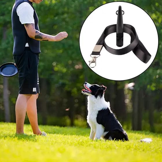 Apito Para Cães Llittlesunla Com Cordões , Apitos Ultrassônicos Parar De Latir Silenciosos De Alta Frequência Treinament