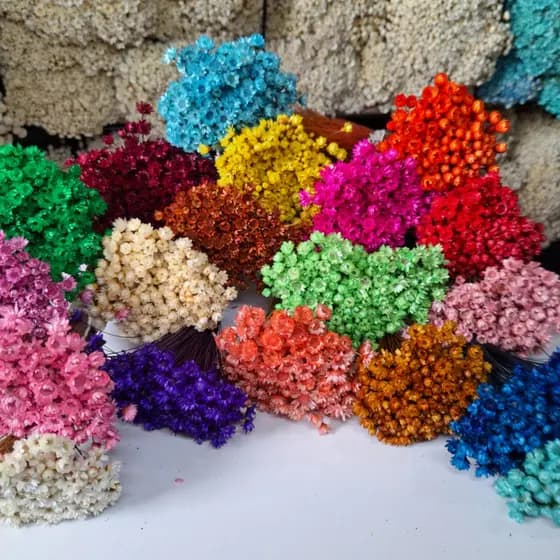 Mosquitinhos Sempre-Viva Desidratadas, Kit com 150 - 300 - 600 - 1200 flores Selecionadas