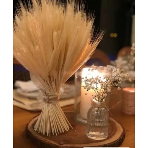 Hastes de Trigo Decorativo Seco Elegante Luxo Convites Festas Eventos Arranjos Artesanato Maços
