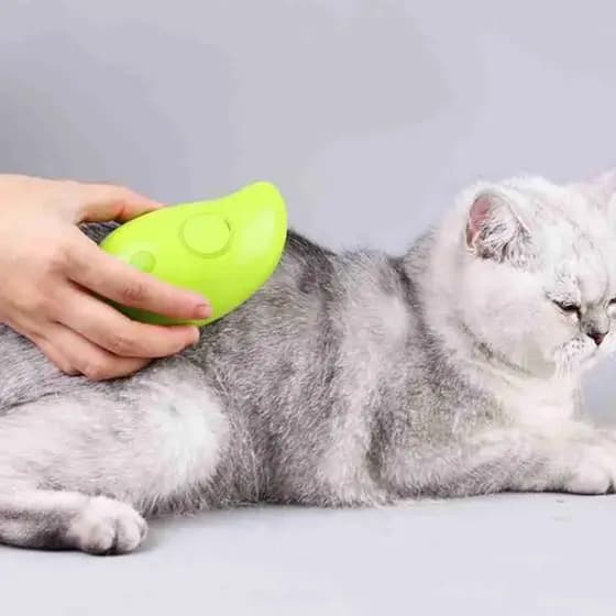 Escova Vapor Tira Pelo PET Recarregável