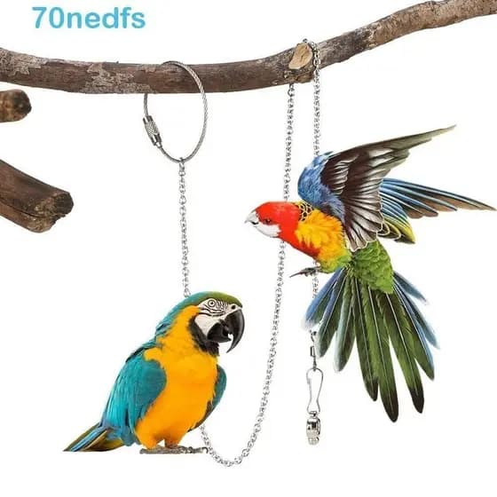 NEDFS Corrente Para Pés De Periquito Calopsita Starling Prata Pombo Ao Ar Livre Suporte Pássaros Em Aço Inoxidável Torno