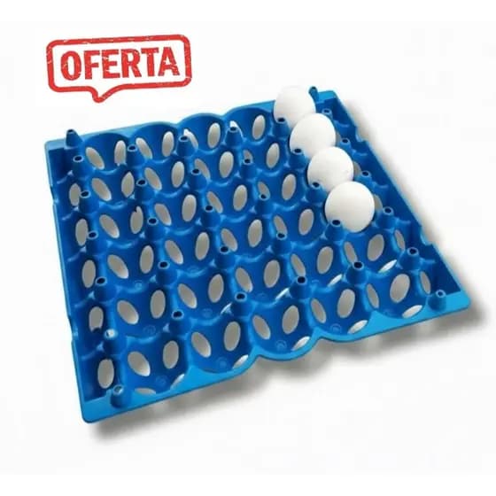 Kit C/ 2 Bandeja Plastica Porta Ovos Higienica 30 Ovos Cartela Plastica