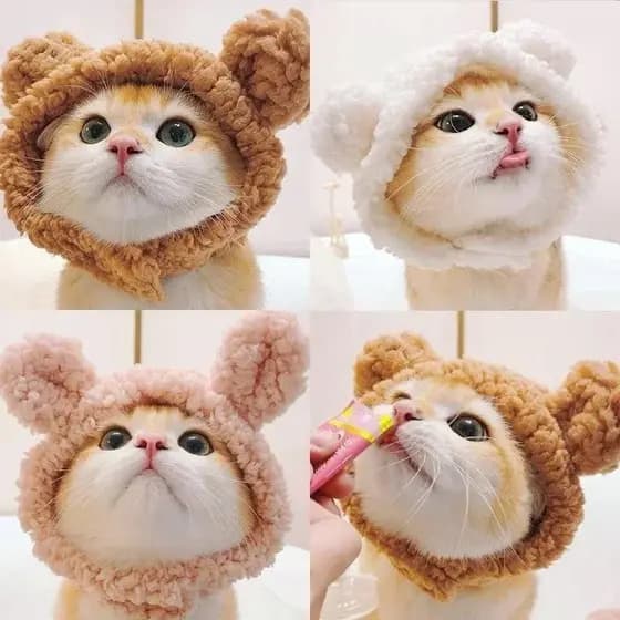 XS-L Tamanho Macio Fofo Chapéu De Cachorro De Estimação Sólido Rosa Chapéus Quentes Para Gatos Outono Inverno Urso Acess