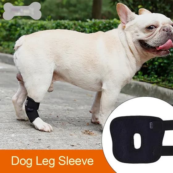 BESTLINK2 Cachorro Recuperação Manga Feridas Para Pet Suporte Extra Canino Perna Traseira Envoltório Junta Protetora Ban