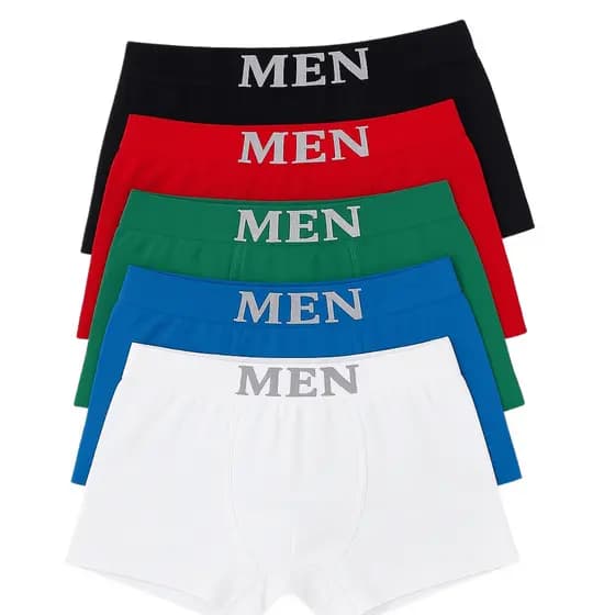Kit 5 Cuecas Masculinas cueca Boxer Microfibra Premium Conforto cuecas microfibra premium