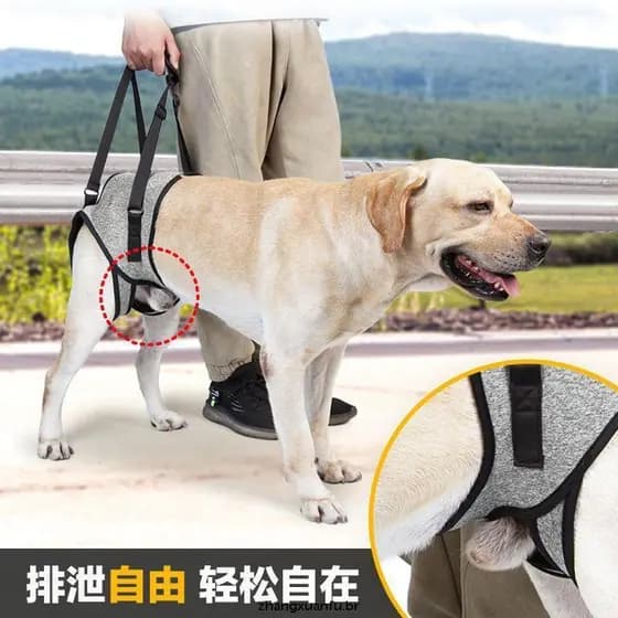 TAKE Arnês Durável Para Elevação Cães Grandes , Estimação Suporte Pernas Traseiras