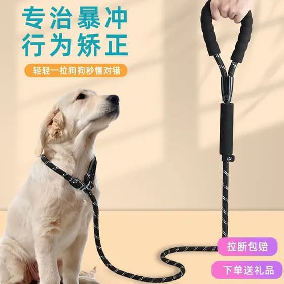 Trela de cachorro à prova de explosão Punch p corrente Golden Retriever Teddy ajustável corrente de cachorro pequeno méd