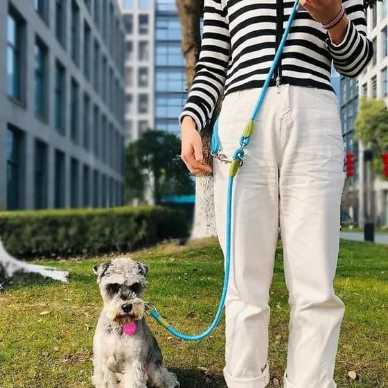 Trelas De Nylon Reflexivas Para Cães De Estimação , Corrente De Tração , Corda Corrida , Cachorro , Mãos Livres Pequenos