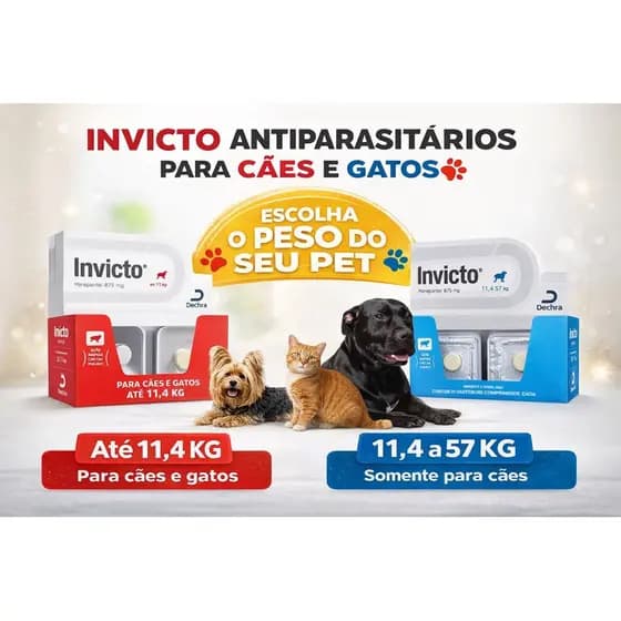Invicto Antipulgas para Cães e gatos - Alívio Rápido em 15 Minutos