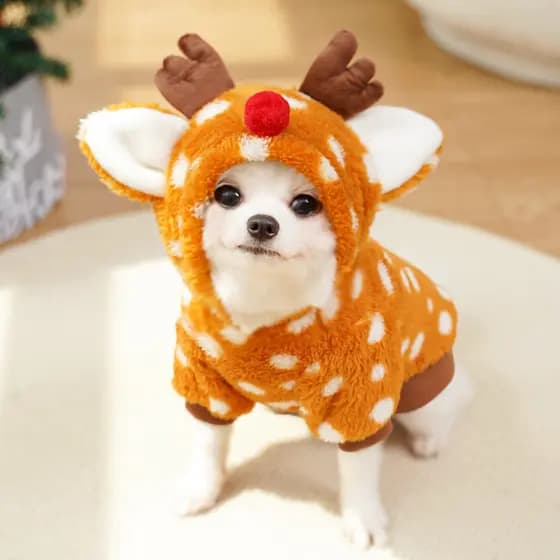 Fantasia Fofa De Rena De Natal Para Cachorro Com Capuz De Pelúcia E Gato