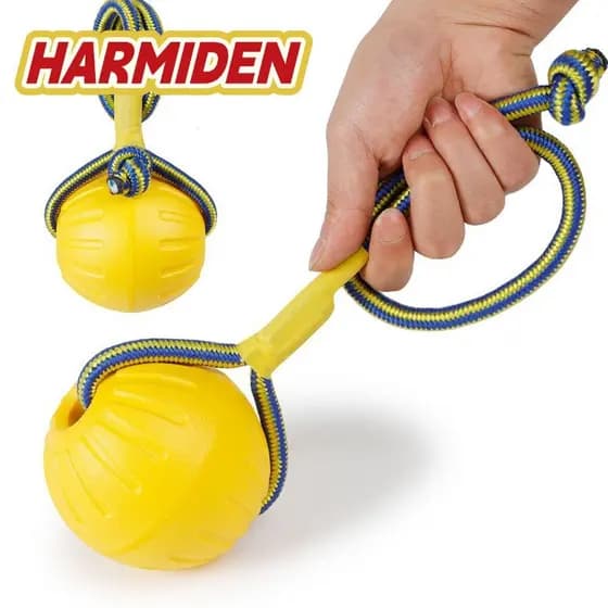 MIOSHOP Mastigar Jogar Buscar Para Cão Interativo Bola De Borracha Resistente Mordida Brinquedo