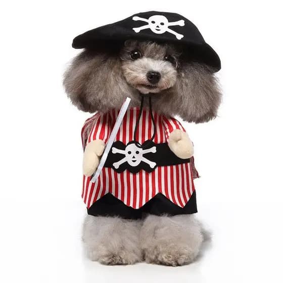 Halloween Cão Traje Cosplay Festa Fantasia Festival Natal Roupas De Gato De Estimação