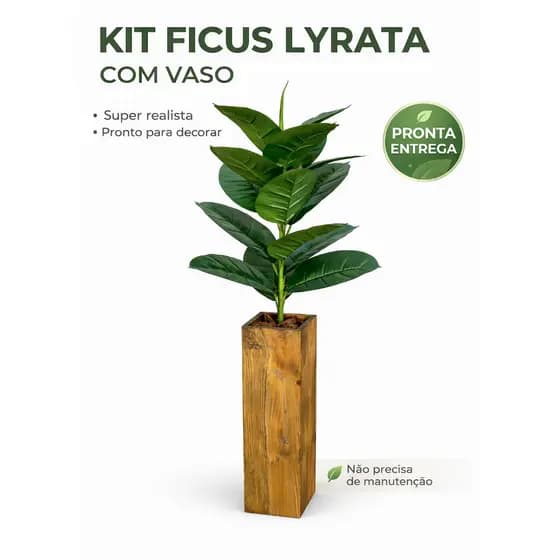 Planta de Chão Ficus Lyrata Permanente com Vaso de Madeira Pinus E Cascalho para Acabamento