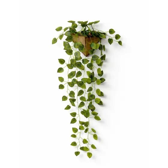 Arranjo de Parede com Hera/Peperomia/Jiboia Artificial - Arranjo Montado Pronto Para Decorar!