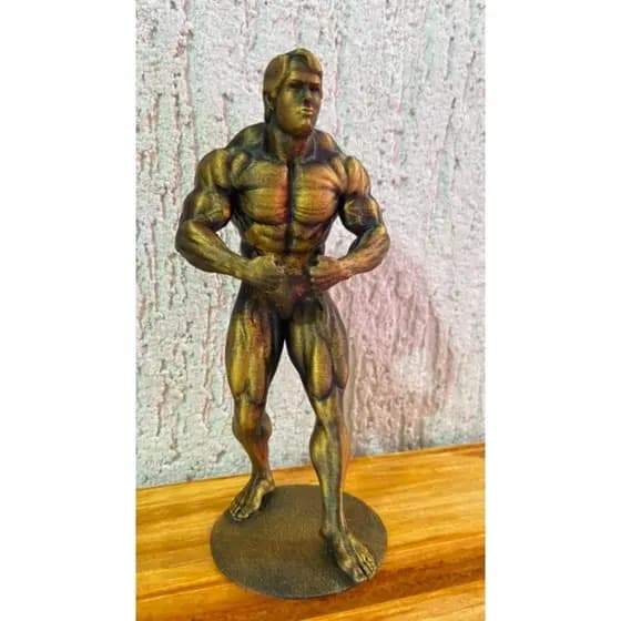 Enfeite-Decoração-Troféu academia, Estatueta de Academia, Musculação Fitness, Charms Fitness Gym