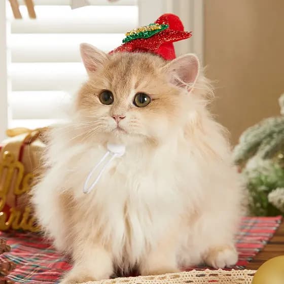 Novo estilo de chapéu de papai noel para gato de estimação, acessórios para gatos, atmosfera fofa de desenho animado, ch