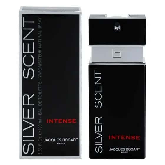 Perfume Silver Scent Intense 100ml Edt Original