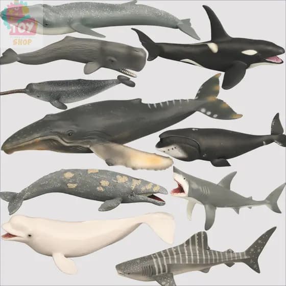 Brinquedos Infantis Modelos Realistas de Animais do Oceano Tubarão Branco Baleia Spermatogênese Baleia Azul Baleia Juba
