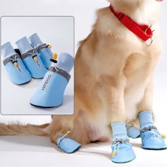 Sapatos Golden Retriever Labrador Dogs Para Garras De Proteção Cães Grandes Suprimentos Animais De Estimação