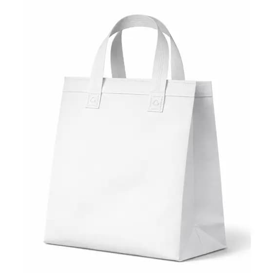 KIT 40 Sacolas Bolsa Termica Pequena Portatil para Passeio Cooler 8 Litros