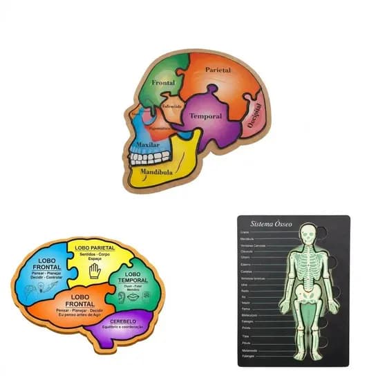 Kit 3 Quebra Cabeças Pedagógicos Cérebro Crânio Esqueleto Humano Em Mdf Educativo Infantil