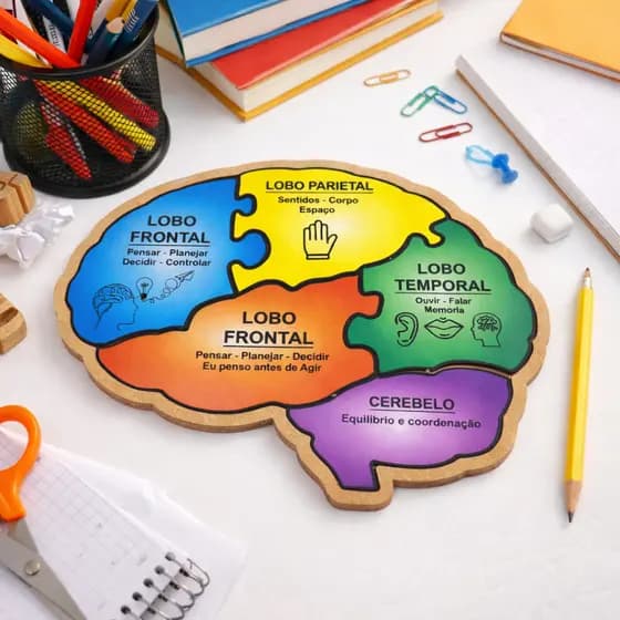 Quebra Cabeça Educativo Formato Cérebro MDF Infantil Pedagógico