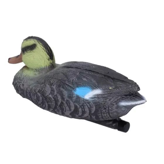 Pato Flutuante Caça Chamariz Marreco Ariri Pato Selvagem