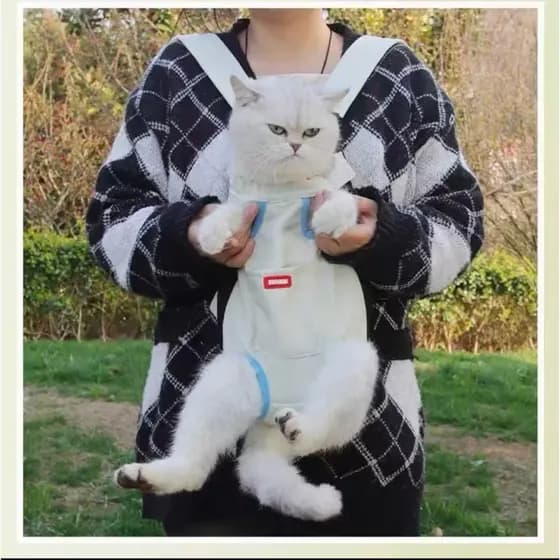 Mochila Horizontal Portátil Cães Saindo Bolsa De Gato De Tração Para Animais De Estimação